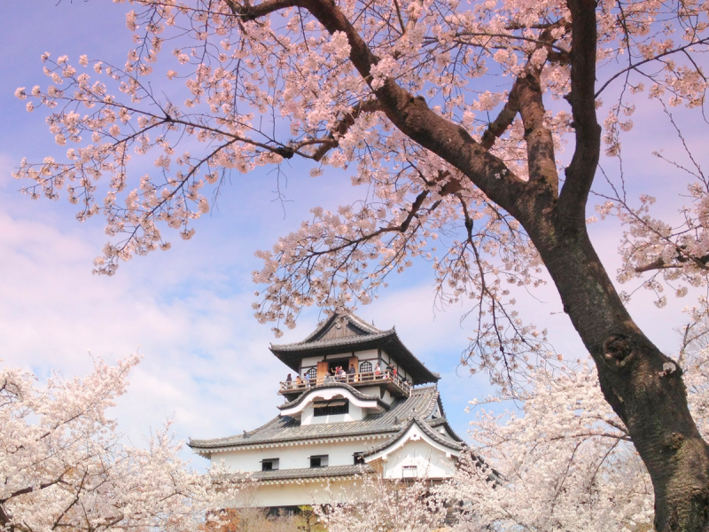 thị trấn lâu đài inuyama 2 thị trấn lâu đài inuyama 2